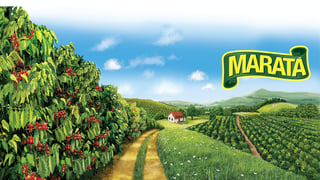 marata homepage banner logo